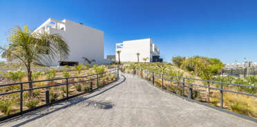 acp galery