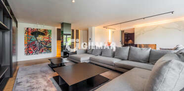 acp galery