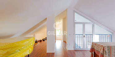 acp galery