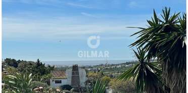 acp galery