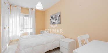 acp galery