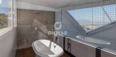 acp galery