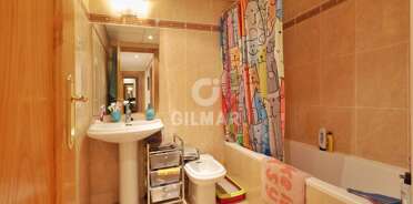 acp galery