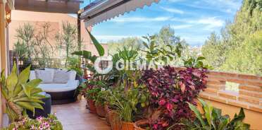 acp galery