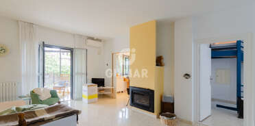acp galery