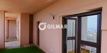 acp galery