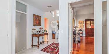 acp galery
