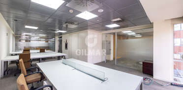 acp galery