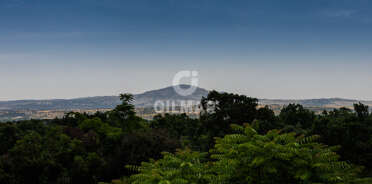 acp galery