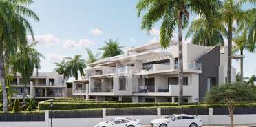 acp galery