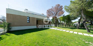 acp galery