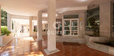 acp galery
