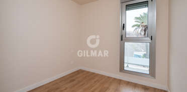 acp galery