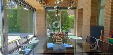 acp galery