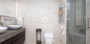 acp galery