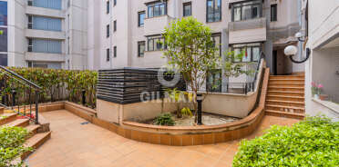 acp galery