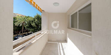 acp galery