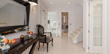 acp galery