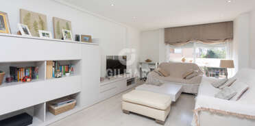 acp galery