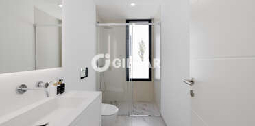 acp galery