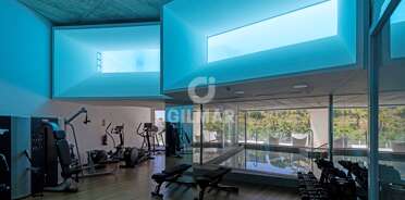 acp galery