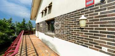 acp galery