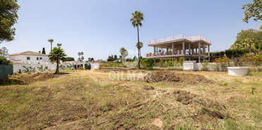 acp galery
