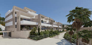 acp galery