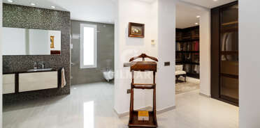 acp galery