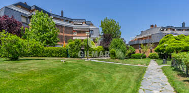 acp galery