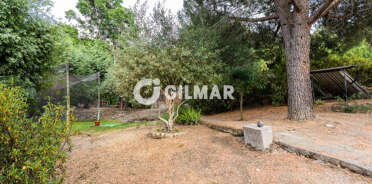 acp galery