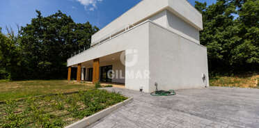 acp galery