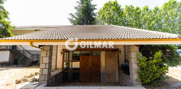 acp galery