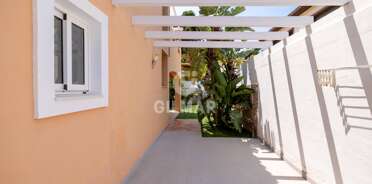 acp galery
