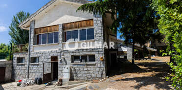 acp galery
