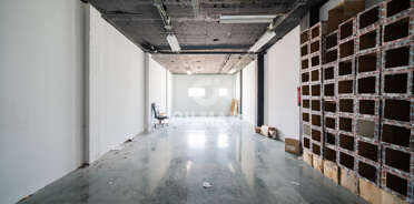 acp galery
