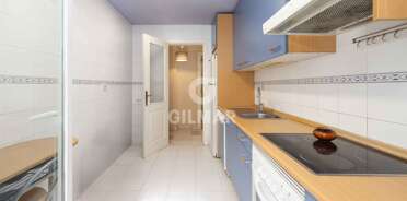 acp galery