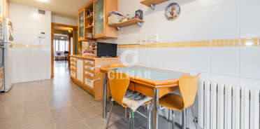 acp galery