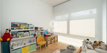 acp galery