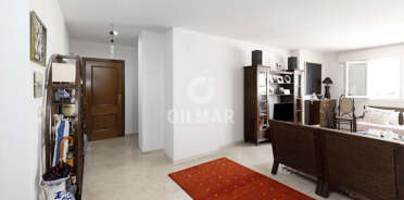 acp galery