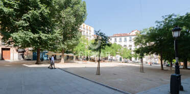 acp galery