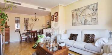 acp galery