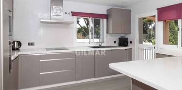 acp galery