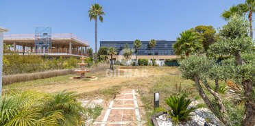 acp galery