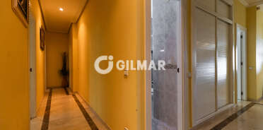 acp galery