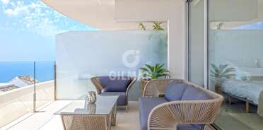 acp galery