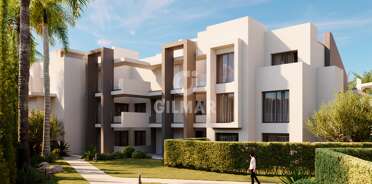 acp galery