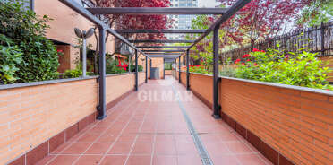 acp galery