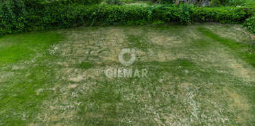 acp galery