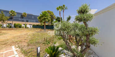acp galery
